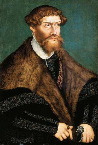 Lucas Cranach the Younger Portrait of Philip I, Duke of Pomerania. Germany oil painting art